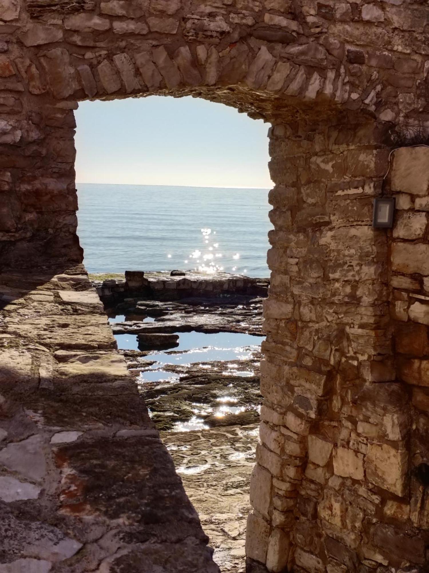 Apartment Kaplja Novigrad  Bagian luar foto